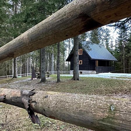 Cosy Lodge Pokljuka Goreljek 外观 照片