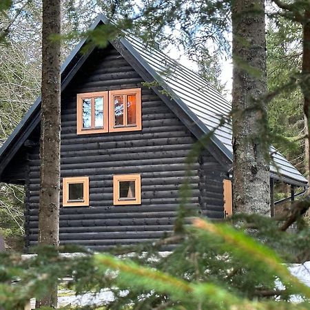 Cosy Lodge Pokljuka Goreljek 外观 照片