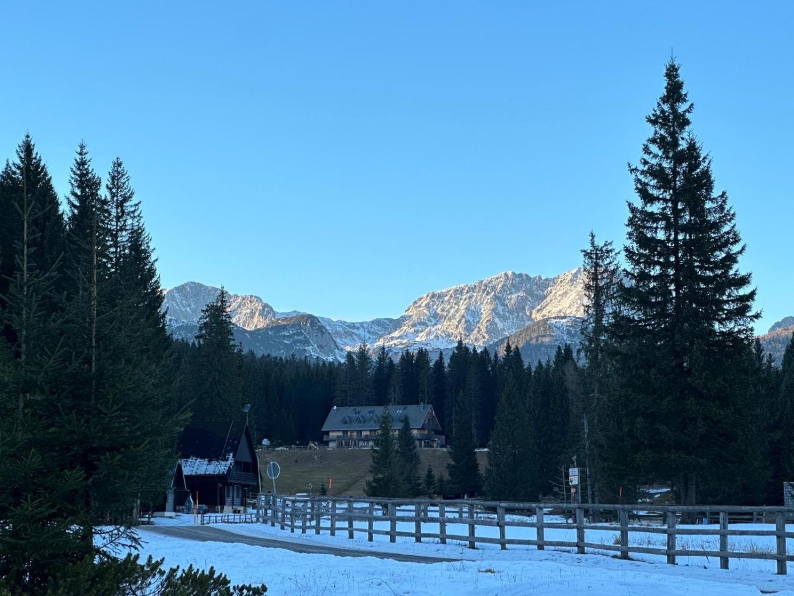 Cosy Lodge Pokljuka Goreljek 外观 照片