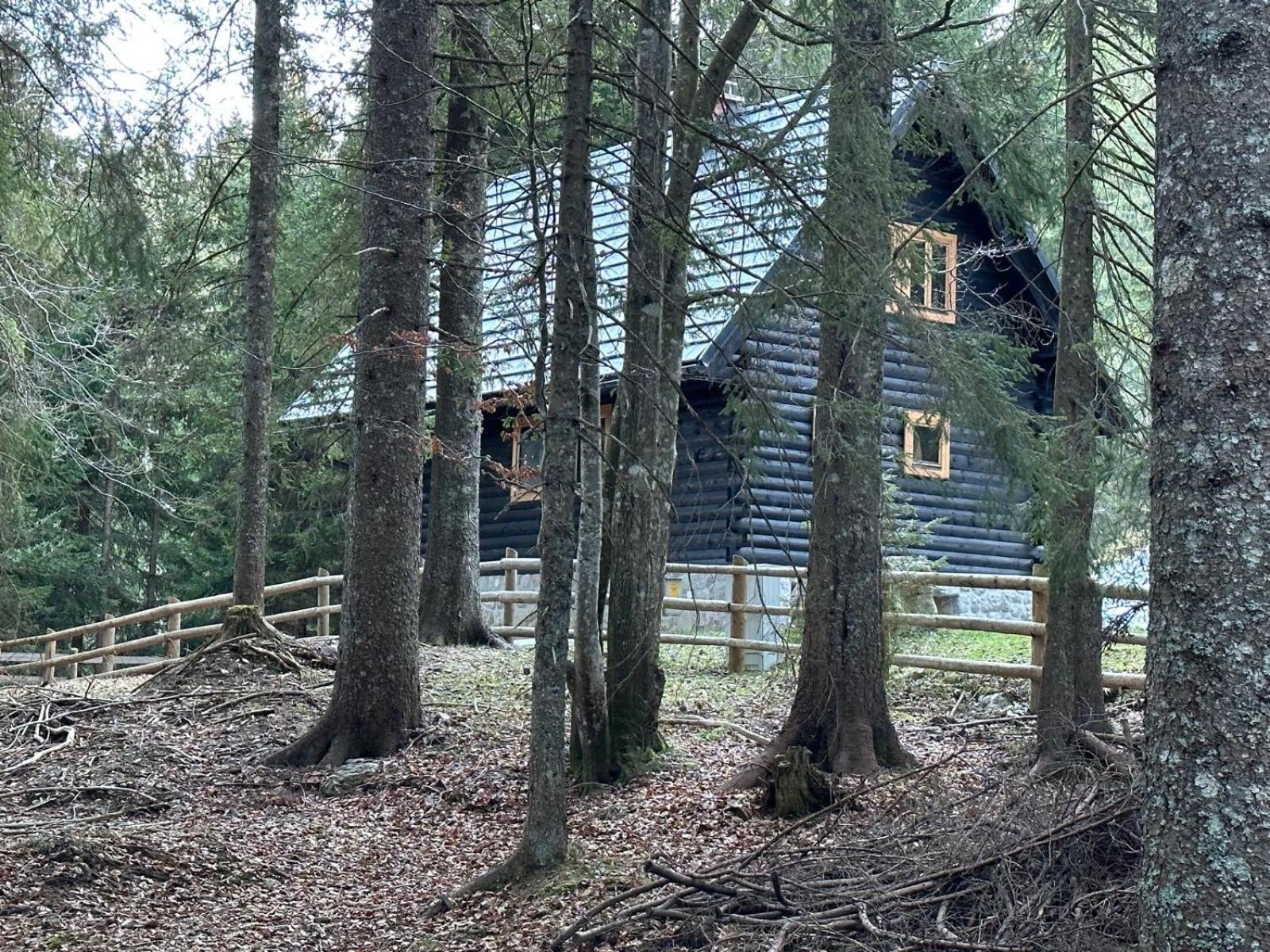 Cosy Lodge Pokljuka Goreljek 外观 照片