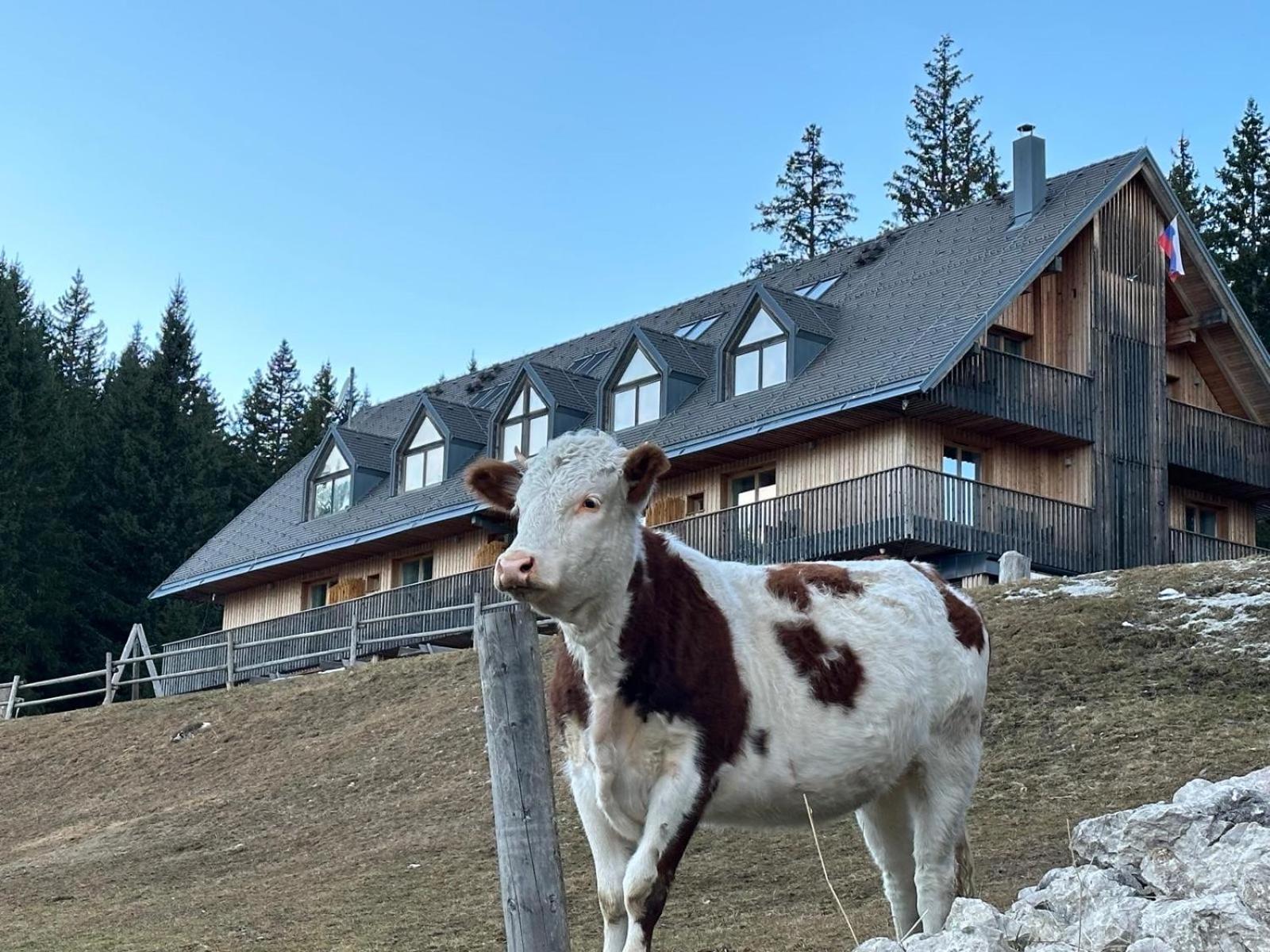 Cosy Lodge Pokljuka Goreljek 外观 照片