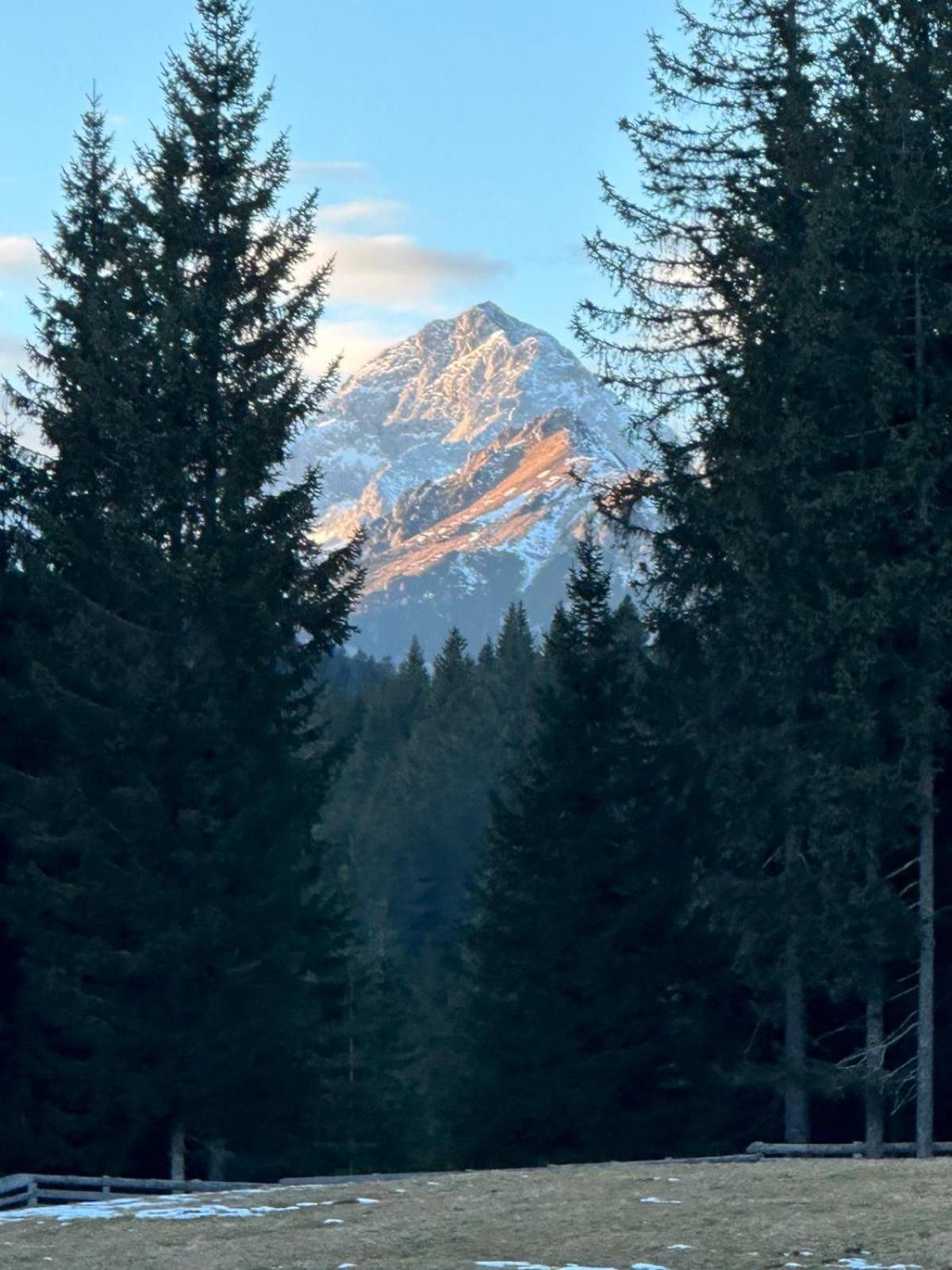 Cosy Lodge Pokljuka Goreljek 外观 照片